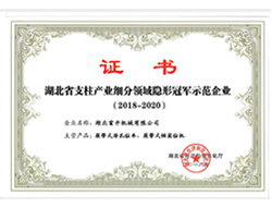 湖北省產(chǎn)業(yè)隱形冠軍示范企業(yè)